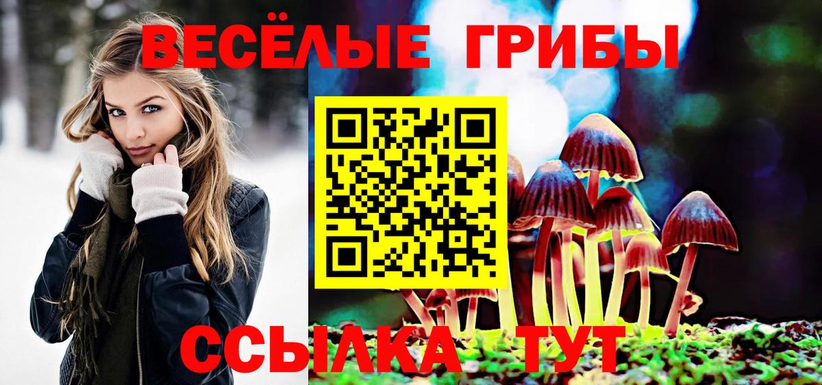 Галлюциногенные грибы прущие грибы Бор